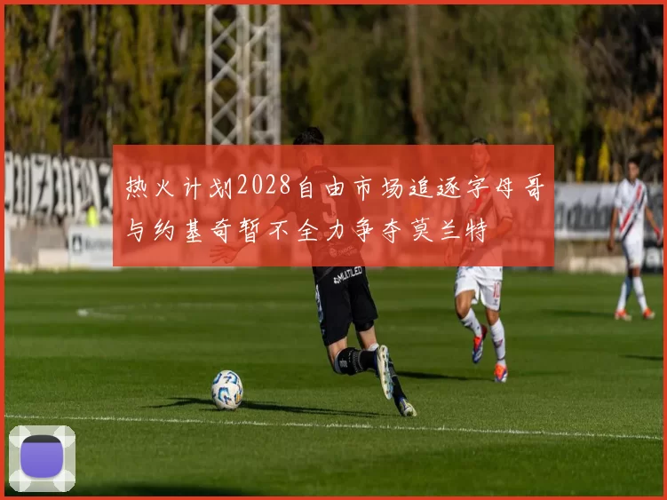 热火计划2028自由市场追逐字母哥与约基奇暂不全力争夺莫兰特